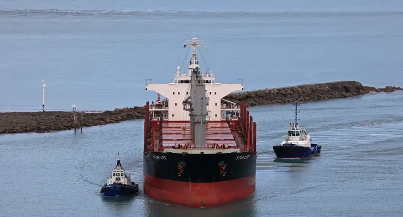 STAR LIFE Bulk Carrier IMO 9573828 photo 4