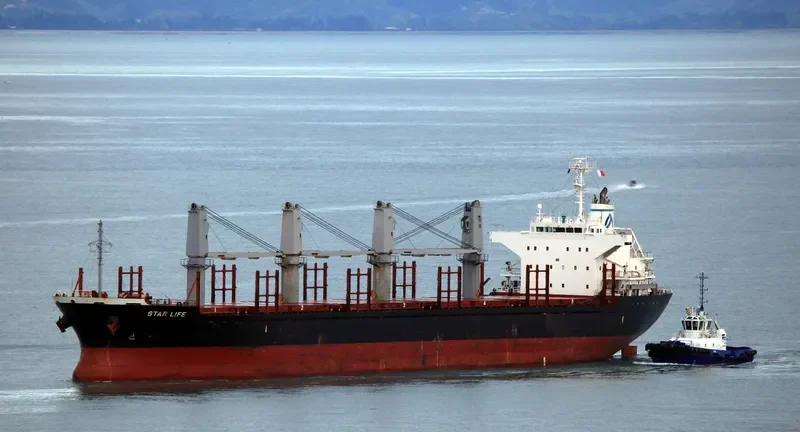 STAR LIFE Bulk Carrier IMO 9573828 photo 6