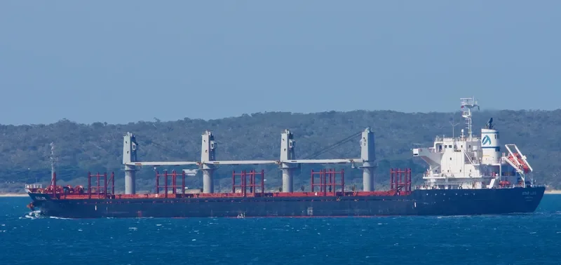 STAR LIFE Bulk Carrier IMO 9573828 photo 9