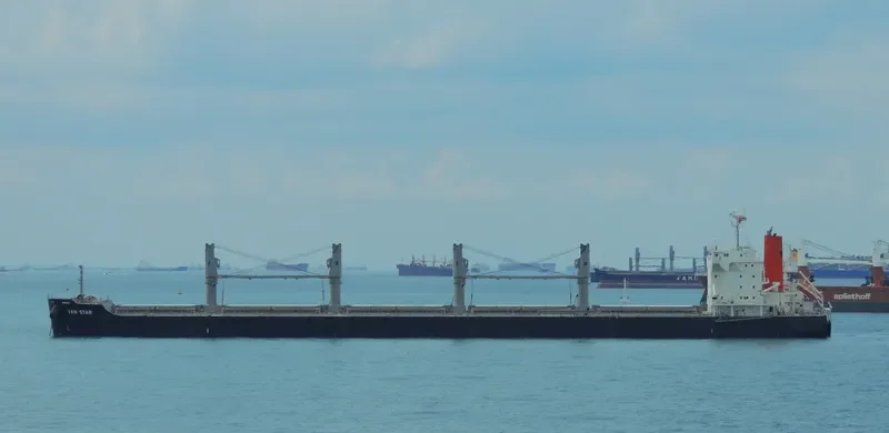 VAN STAR Bulk Carrier IMO 9573842 photo 7