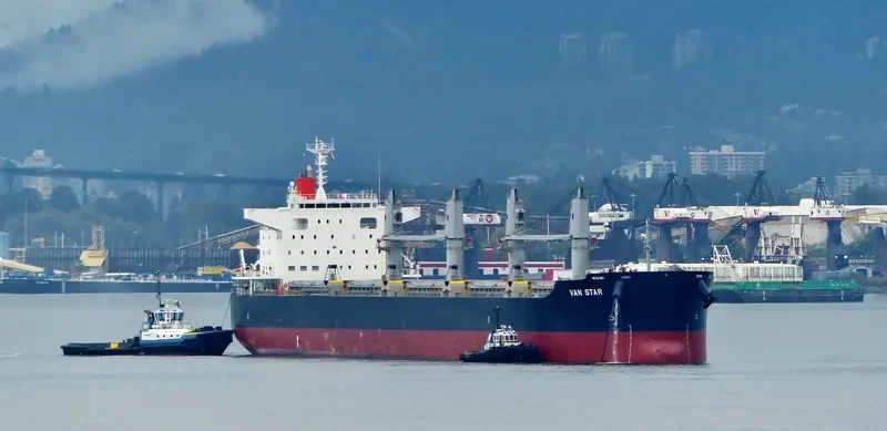 VAN STAR Bulk Carrier IMO 9573842 photo 9