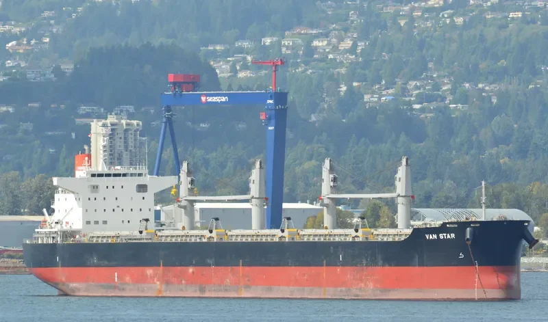 VAN STAR Bulk Carrier IMO 9573842 photo 10