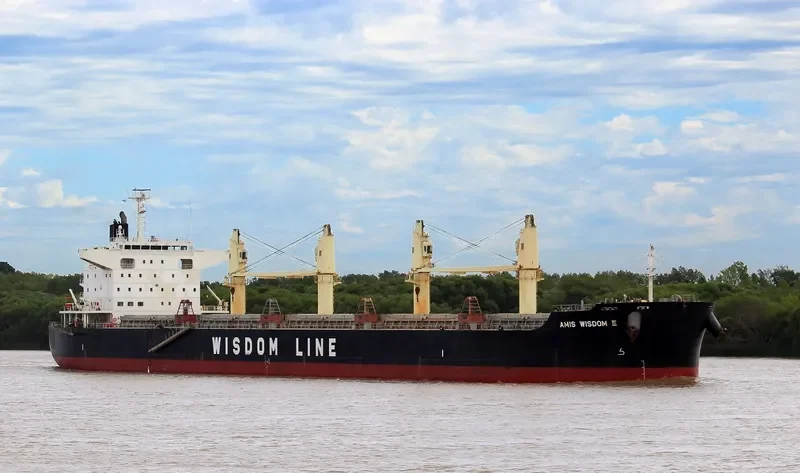 AMIS WISDOM III Bulk Carrier IMO 9573866 photo 3
