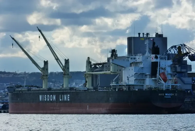 AMIS WISDOM III Bulk Carrier IMO 9573866 photo 6