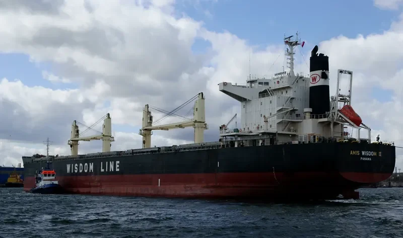 AMIS WISDOM III Bulk Carrier IMO 9573866 photo 7