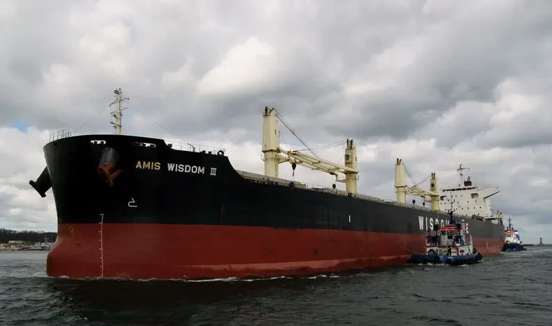 AMIS WISDOM III Bulk Carrier IMO 9573866 photo 8