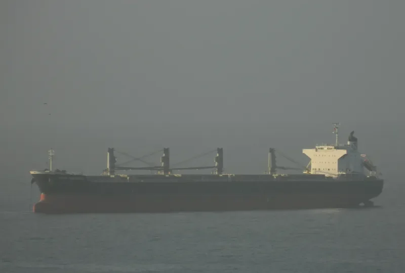 MAR CAMINO Bulk Carrier IMO 9573892