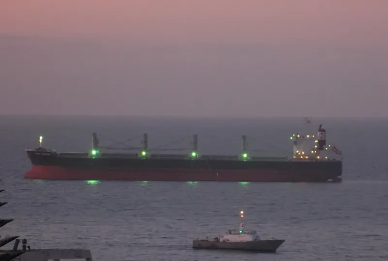 MAR CAMINO Bulk Carrier IMO 9573892 photo 2
