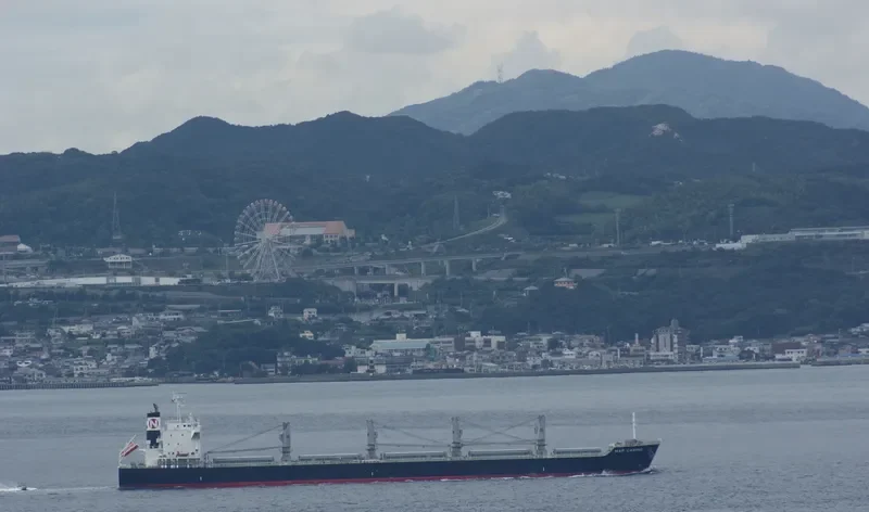 MAR CAMINO Bulk Carrier IMO 9573892 photo 4