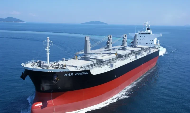 MAR CAMINO Bulk Carrier IMO 9573892 photo 6