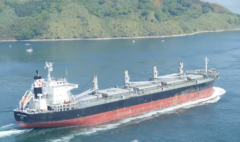 MAR CAMINO Bulk Carrier IMO 9573892 photo 7