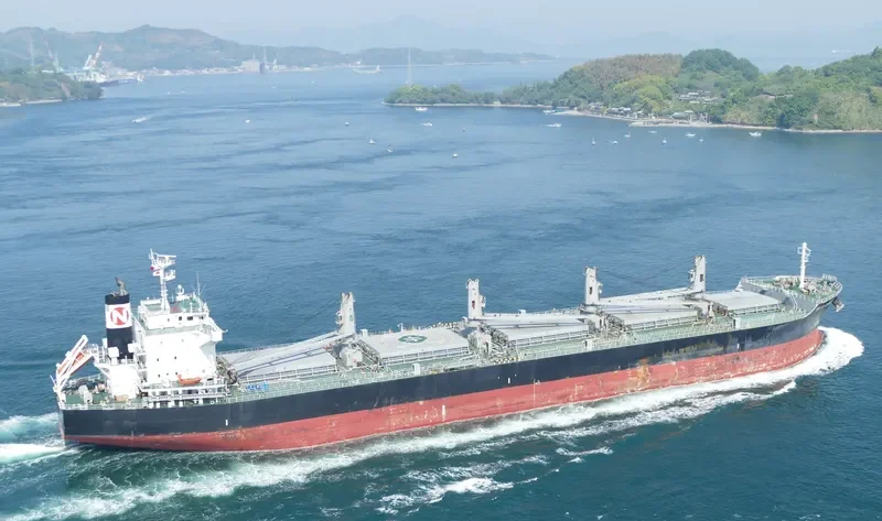 MAR CAMINO Bulk Carrier IMO 9573892 photo 8