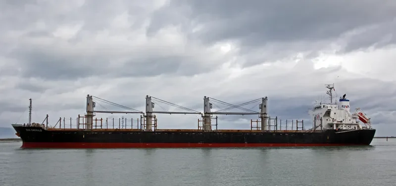 HAI PHUONG 86 Bulk Carrier IMO 9573933 photo 4