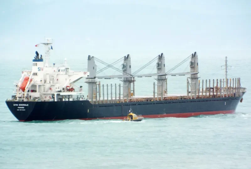 HAI PHUONG 86 Bulk Carrier IMO 9573933 photo 6