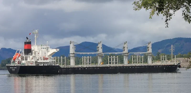 BRIGHT HOPE Bulk Carrier IMO 9573945 photo 3