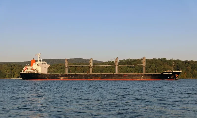 LADY DIMINE Bulk Carrier IMO 9573957