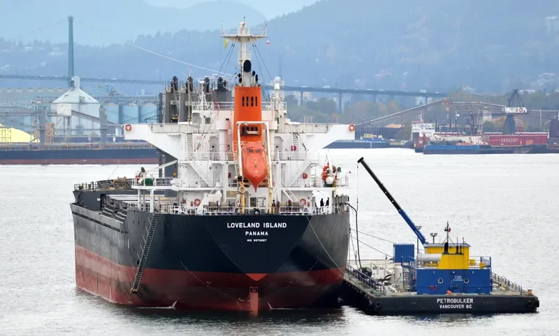 LADY DIMINE Bulk Carrier IMO 9573957 photo 6
