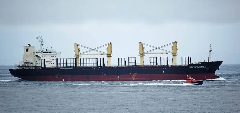 PACIFIC LEGEND Bulk Carrier IMO 9573995 photo 3