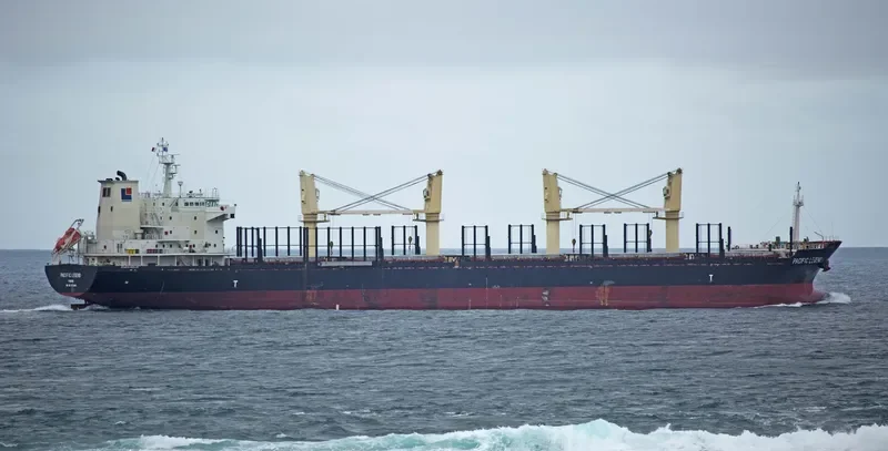 PACIFIC LEGEND Bulk Carrier IMO 9573995 photo 5