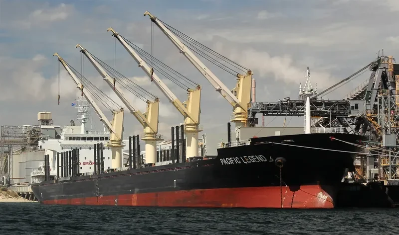 PACIFIC LEGEND Bulk Carrier IMO 9573995 photo 8