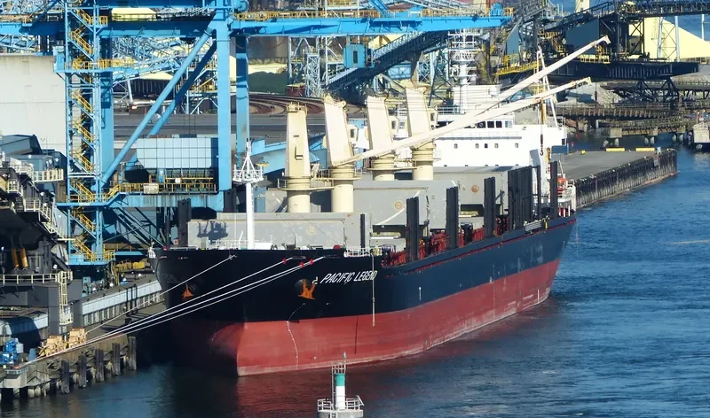 PACIFIC LEGEND Bulk Carrier IMO 9573995 photo 10