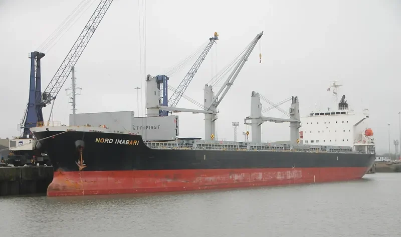 INDIGO IMABARI Bulk Carrier IMO 9574028 photo 4