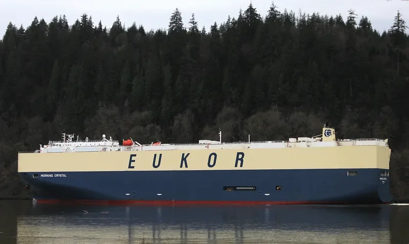 MORNING CRYSTAL General Cargo IMO 9574080 photo 3