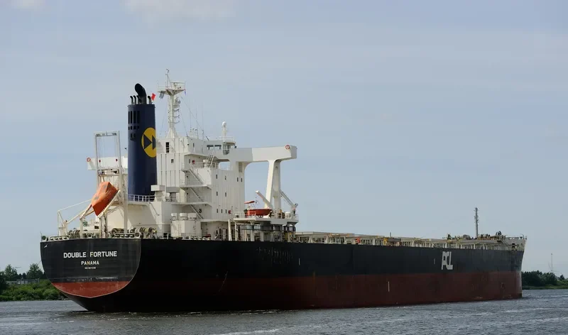 DOUBLE FORTUNE Bulk Carrier IMO 9574119 photo 8