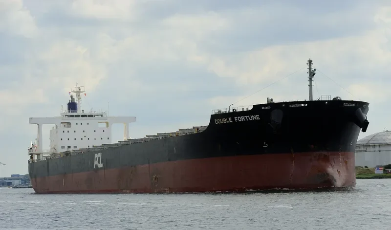 DOUBLE FORTUNE Bulk Carrier IMO 9574119 photo 9