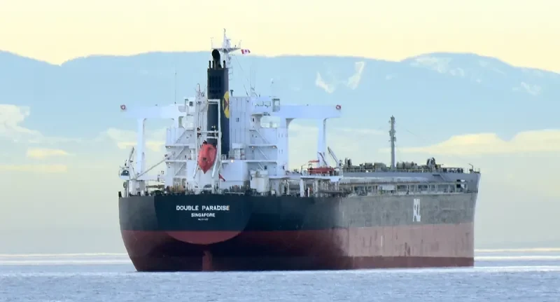DOUBLE PARADISE Bulk Carrier IMO 9574121 photo 5