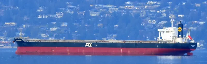 DOUBLE PARADISE Bulk Carrier IMO 9574121 photo 6