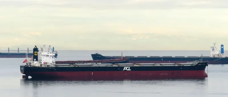 DOUBLE PARADISE Bulk Carrier IMO 9574121 photo 8