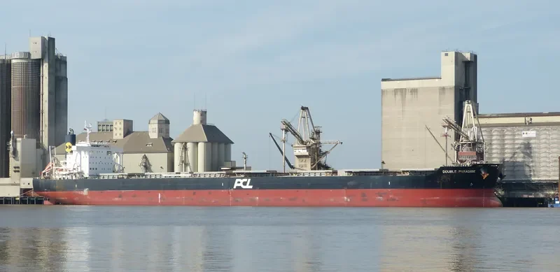 DOUBLE PARADISE Bulk Carrier IMO 9574121 photo 10