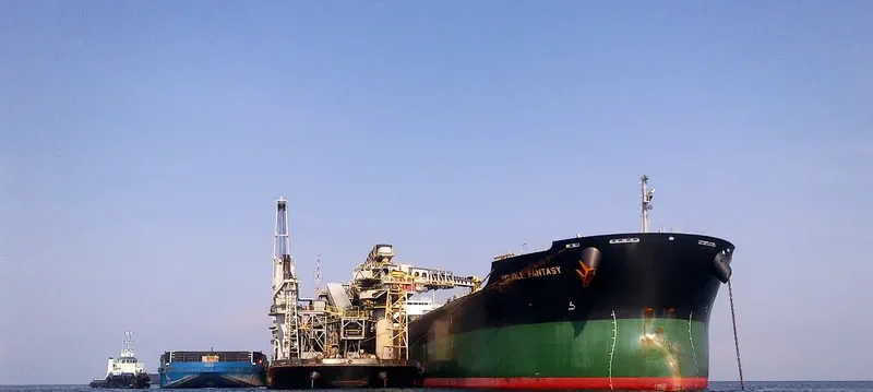DOUBLE FANTASY Bulk Carrier IMO 9574157 photo 3