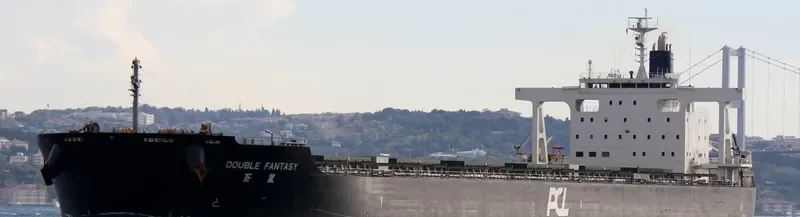 DOUBLE FANTASY Bulk Carrier IMO 9574157 photo 4