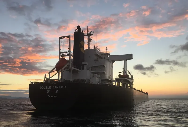 DOUBLE FANTASY Bulk Carrier IMO 9574157 photo 5