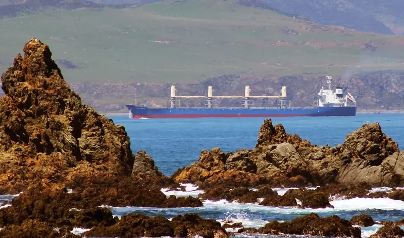 GOLDEN CENTURY Bulk Carrier IMO 9574183 photo 8
