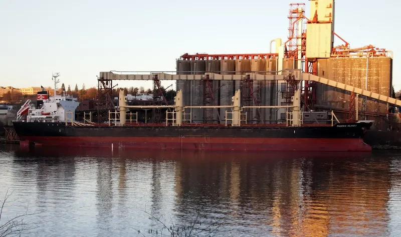 KYALAMI Bulk Carrier IMO 9574200 photo 6