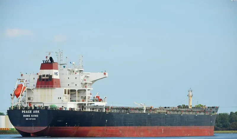 PEACE ARK Bulk Carrier IMO 9574406 photo 3