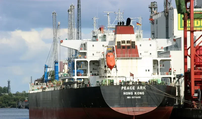 PEACE ARK Bulk Carrier IMO 9574406 photo 4