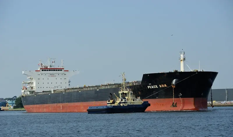 PEACE ARK Bulk Carrier IMO 9574406 photo 7