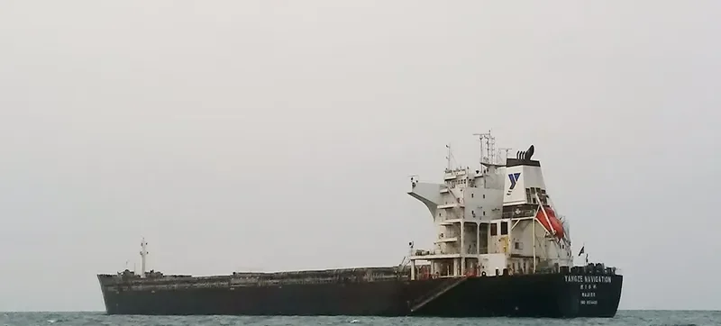 RIVER KING MASTER Bulk Carrier IMO 9574420