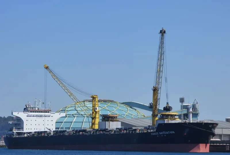 RIVER KING MASTER Bulk Carrier IMO 9574420 photo 4
