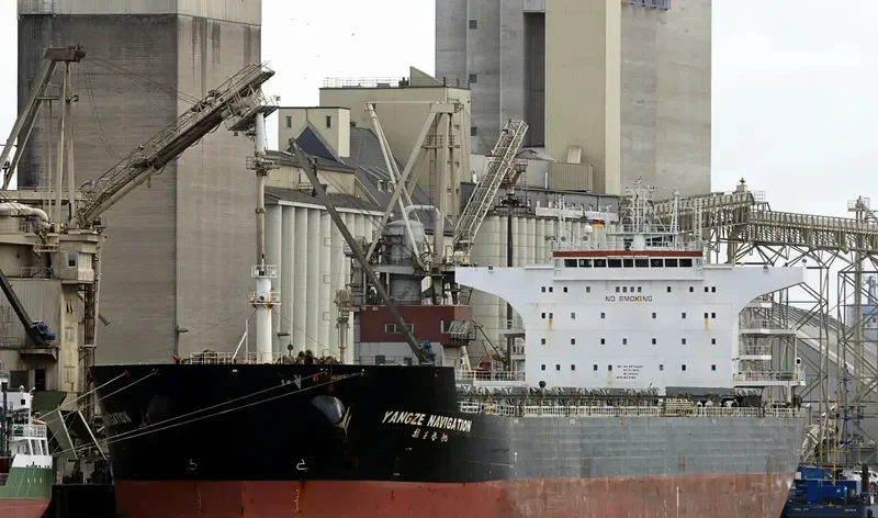 RIVER KING MASTER Bulk Carrier IMO 9574420 photo 5