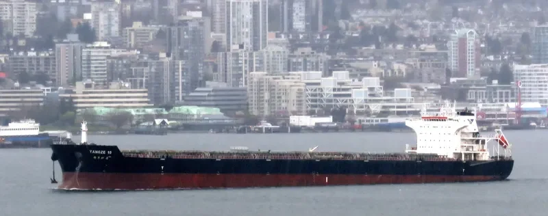 YANGZE 10 Bulk Carrier IMO 9574444 photo 2