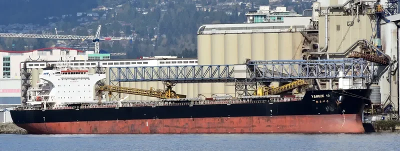 YANGZE 10 Bulk Carrier IMO 9574444 photo 3