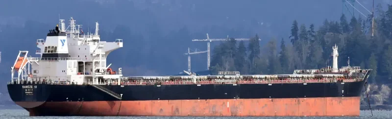 YANGZE 10 Bulk Carrier IMO 9574444 photo 5