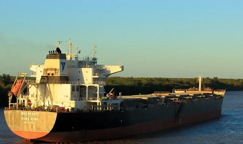 WELPROFIT Bulk Carrier IMO 9574456