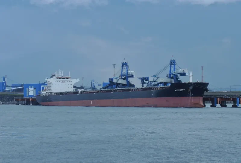 WELPROFIT Bulk Carrier IMO 9574456 photo 2