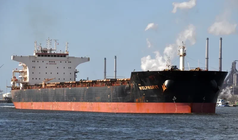 WELPROFIT Bulk Carrier IMO 9574456 photo 6